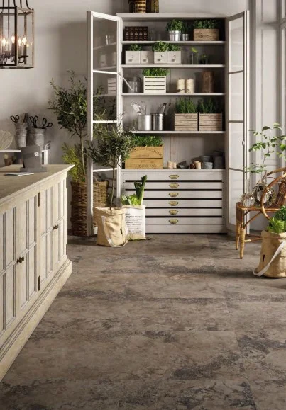bertolanistore20260612174537137412