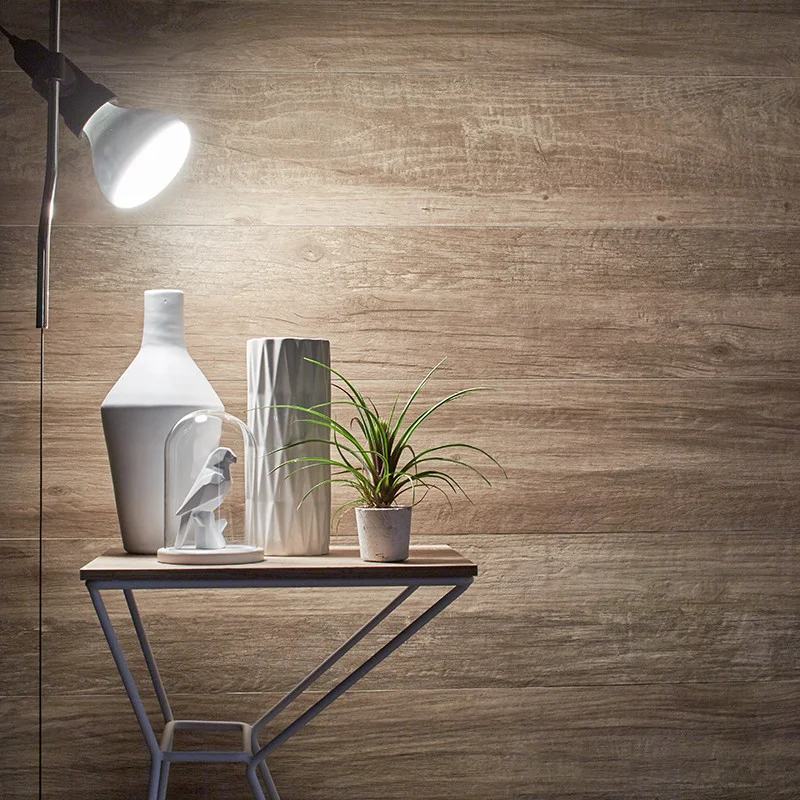 bertolanistore20260612192008151397