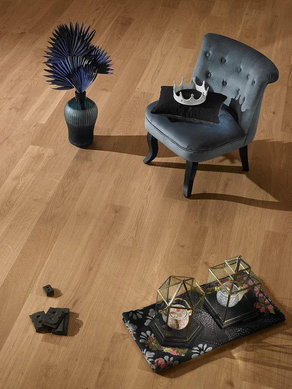 bertolanistore20260612200404157233