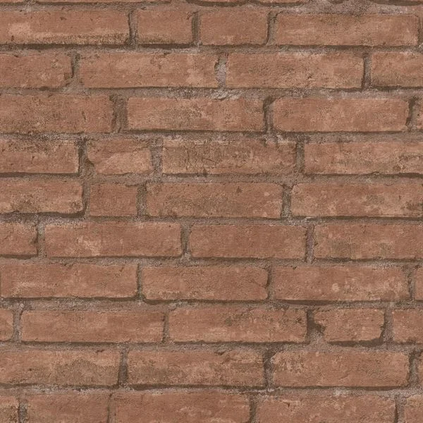 bricoflor20260612172742134435