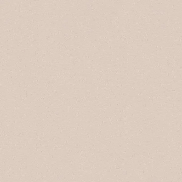 bricoflor20260612191002150035