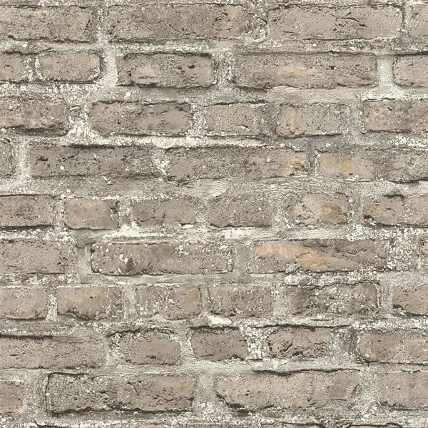 bricoflor20260612193031152716