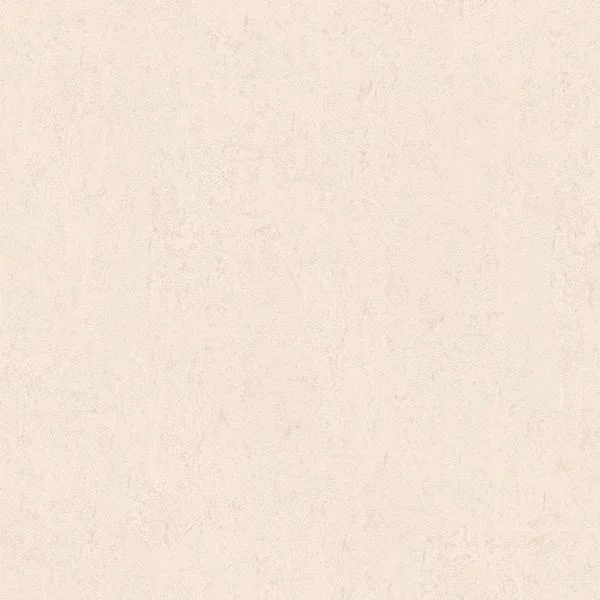 bricoflor20260612200722157623