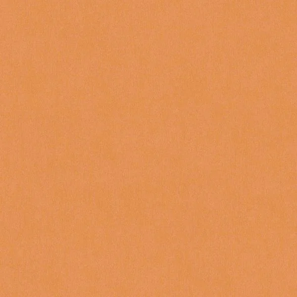 bricoflor20260612203910161255