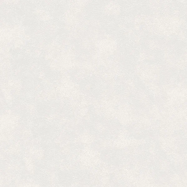 bricoflor20260612210824165902