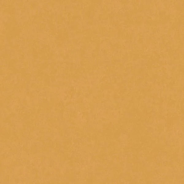 bricoflor20260612231624185580