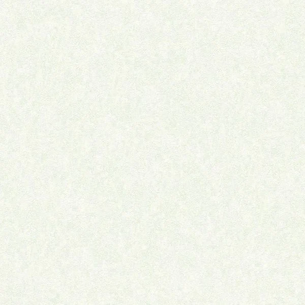 bricoflor20260613000359193251