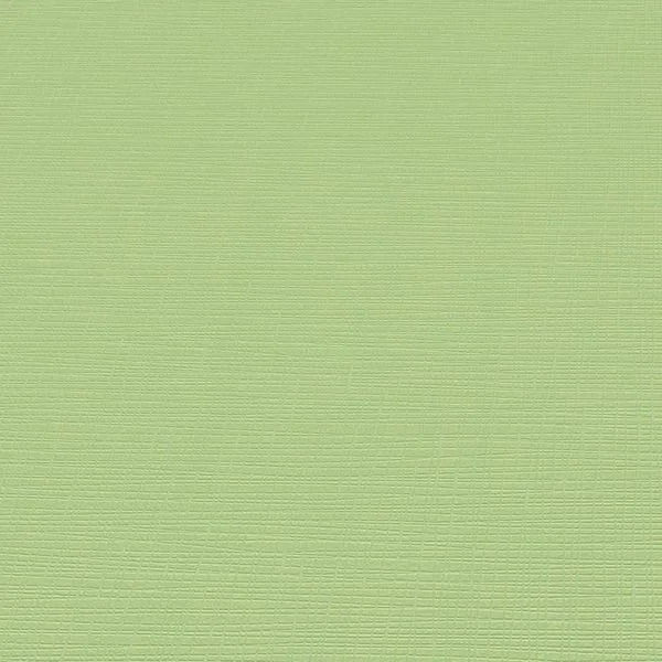 bricoflor20260613021423211006