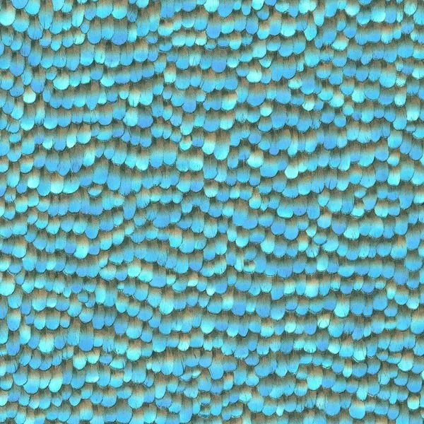 bricoflor20260613023212213184