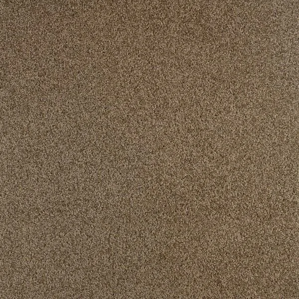 bricoflor20260613024135214256