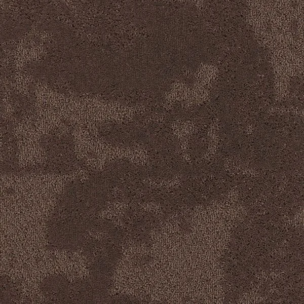bricoflor20260613024254214379