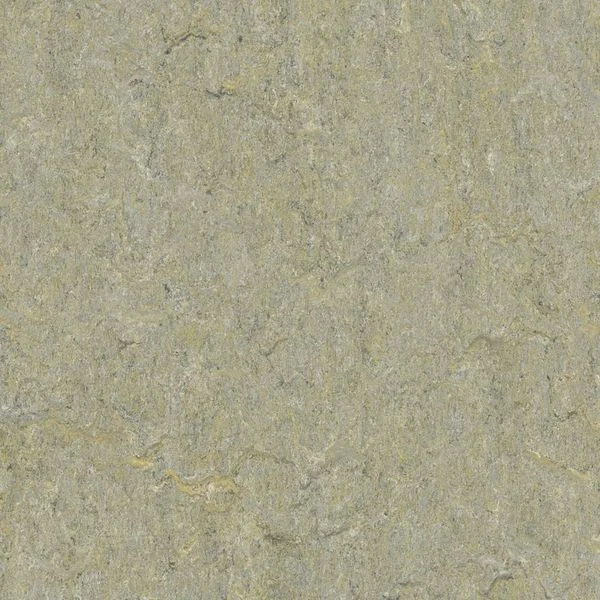 bricoflor20260613025701215900