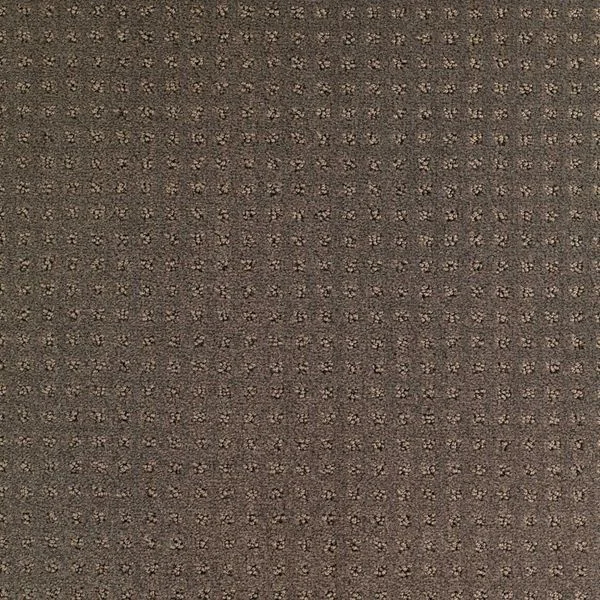 bricoflor20260613025720215936