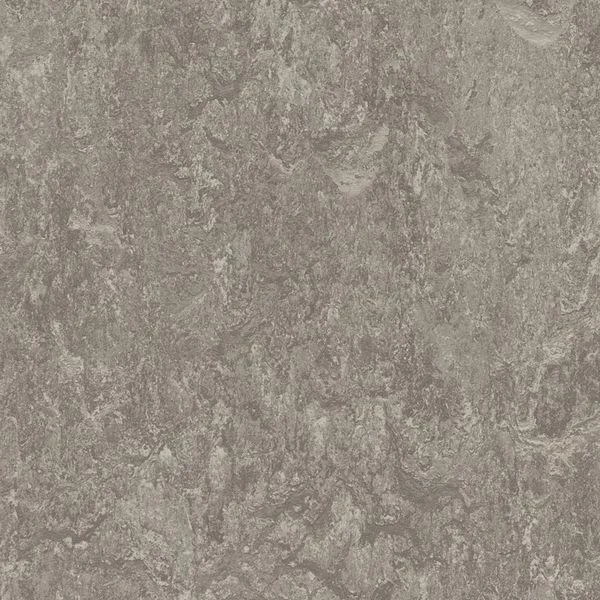 bricoflor20260613030405216682