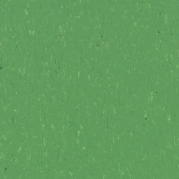 bricoflor20260613030514216814