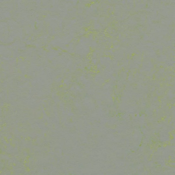 bricoflor20260613030525216838