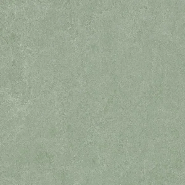 bricoflor20260613030635216969