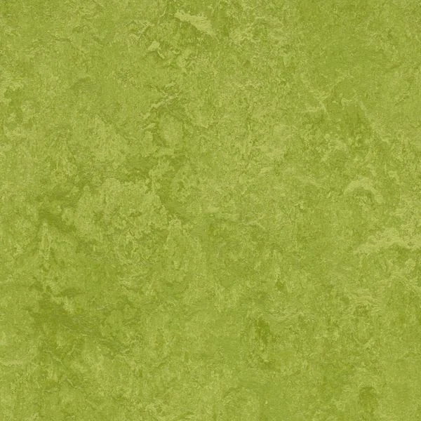 bricoflor20260613030649216998