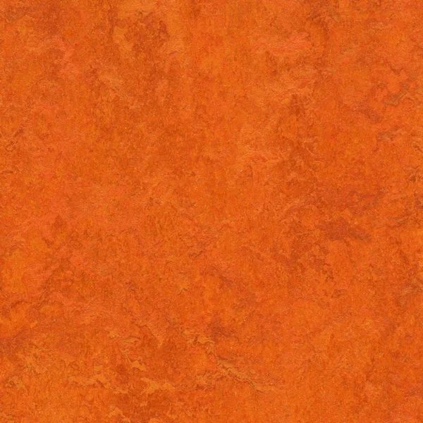 bricoflor20260613030657217015