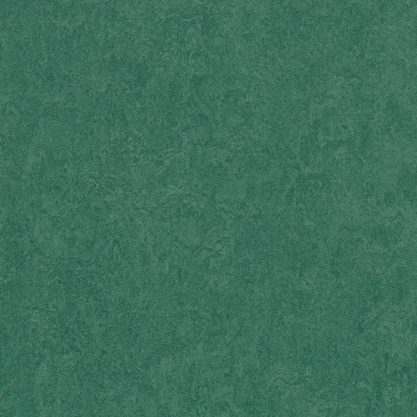bricoflor20260613030703217024