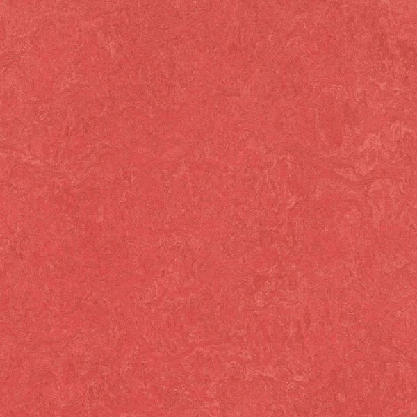 bricoflor20260613030711217040