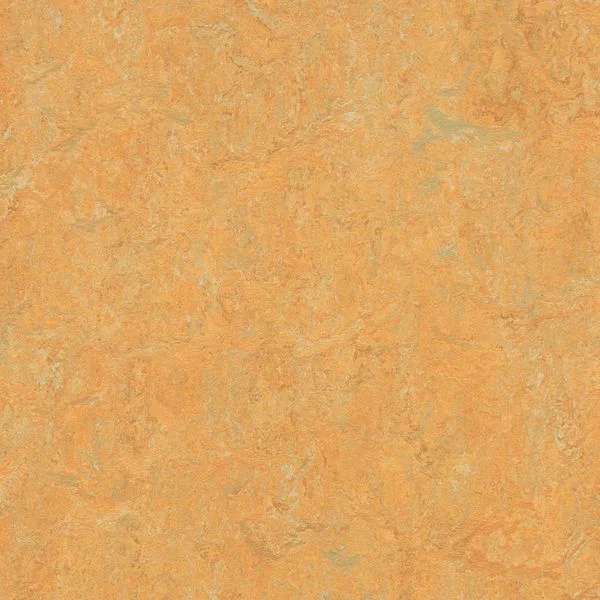 bricoflor20260613030740217094
