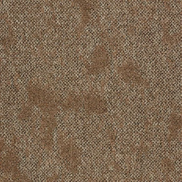 bricoflor20260613030828217179