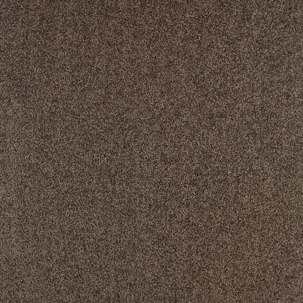 bricoflor20260613030847217211