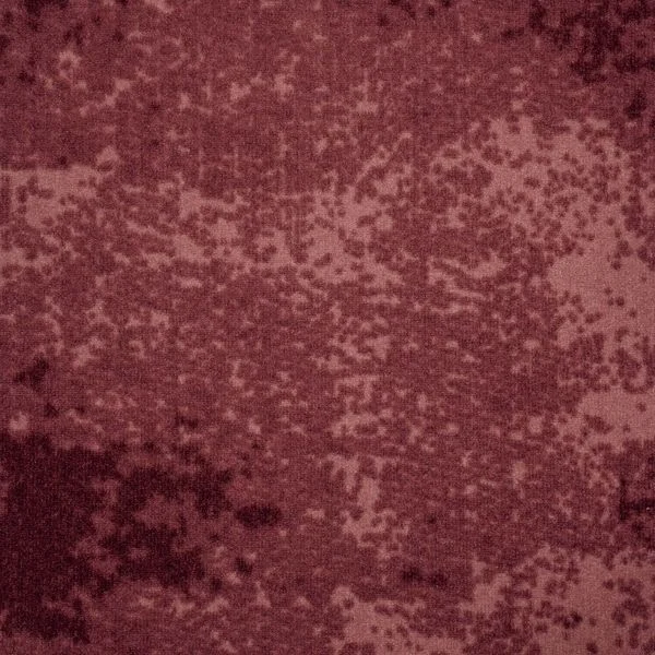 bricoflor20260613031146217551
