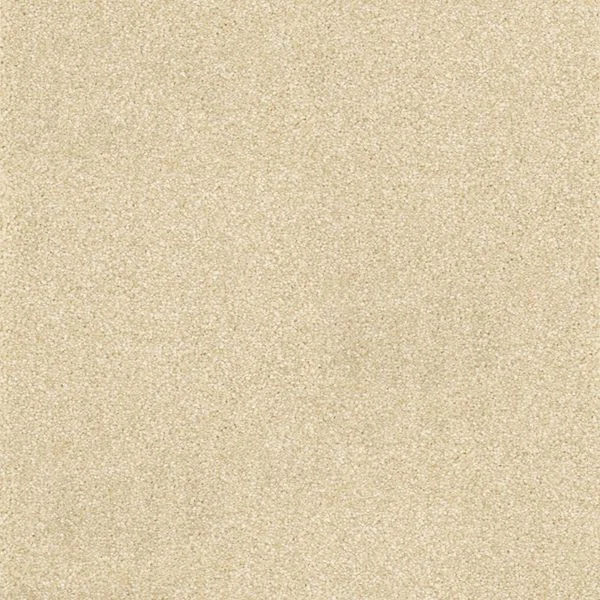 bricoflor20260613032557219043