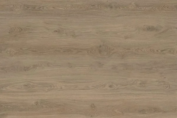 bricoflor20260613033107219569