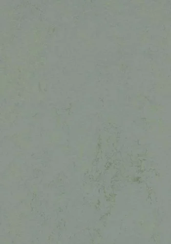 bricoflor20260613033750220239