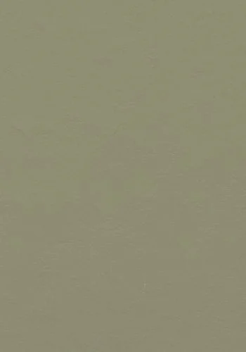 bricoflor20260613033756220253