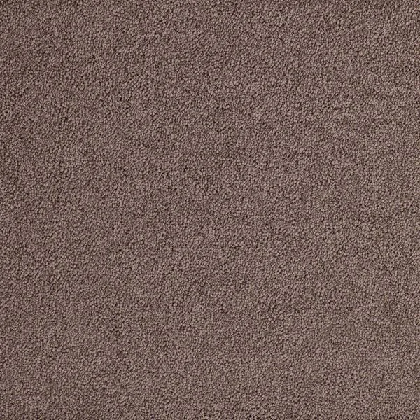 bricoflor20260613034812221316