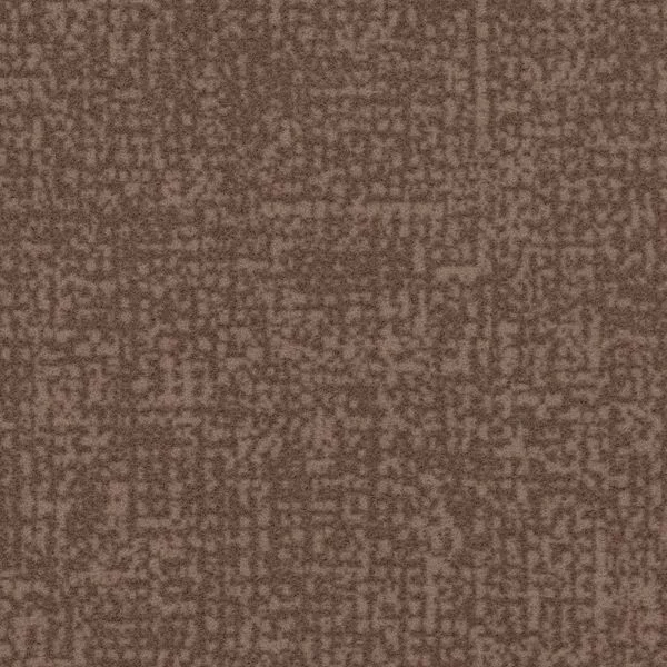 bricoflor20260613035249221779