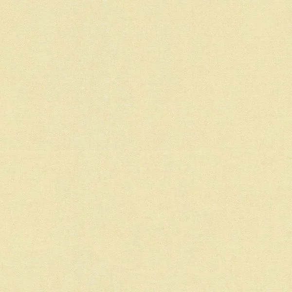 bricoflor20260613040021222569