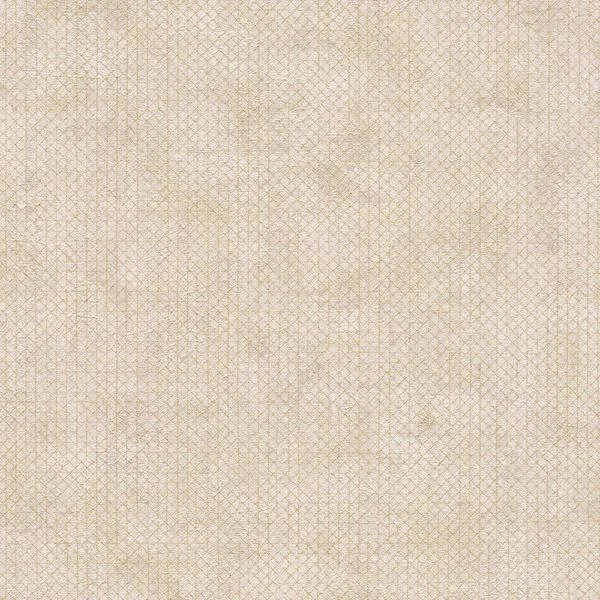 bricoflor20260613041044223509