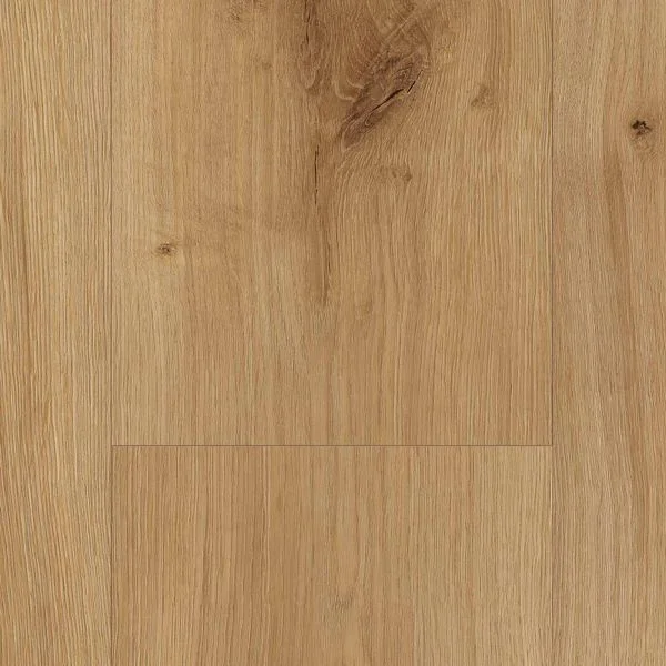bricoflor20260613050846229310