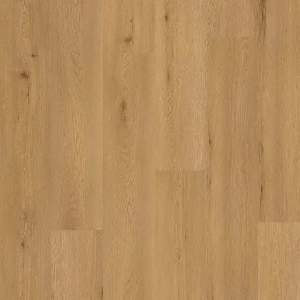 bricoflor20260613052705230822