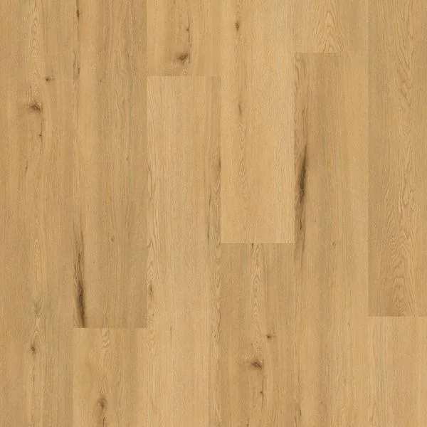 bricoflor20260613052730230865