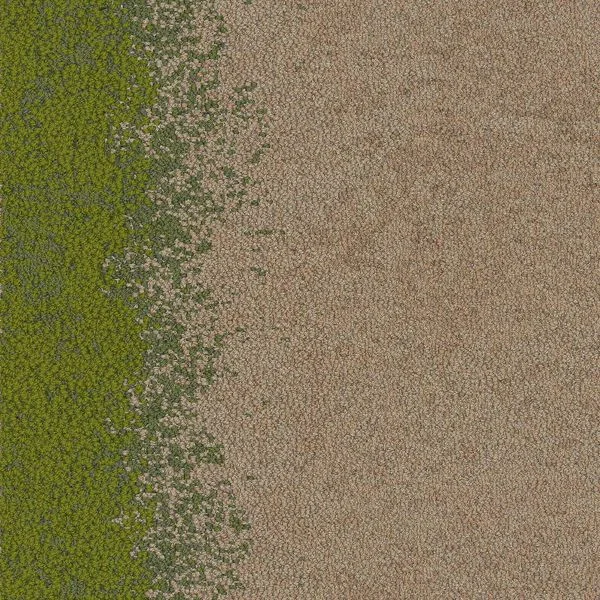 bricoflor20260613060124234500