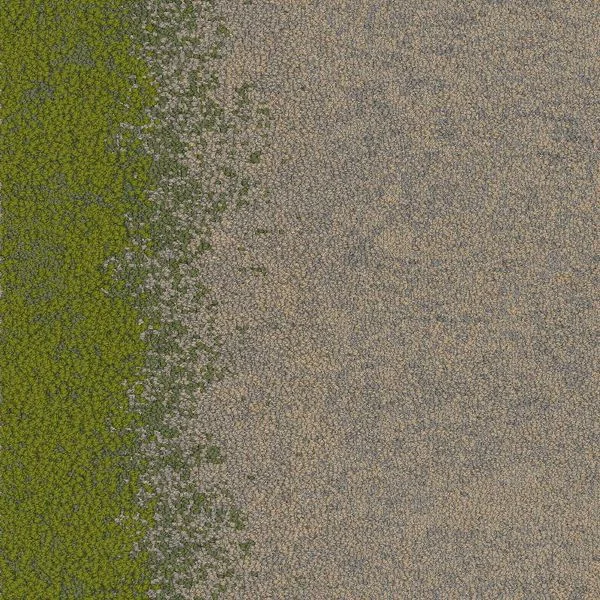 bricoflor20260613060126234503