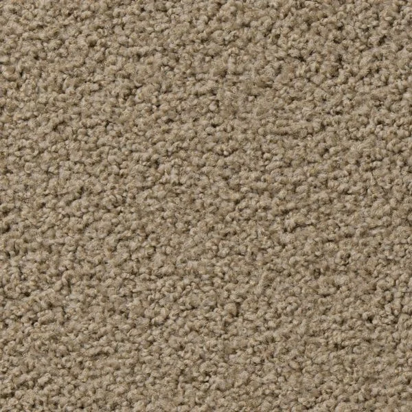 bricoflor20260613060539234922