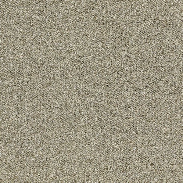 bricoflor20260613061127235500