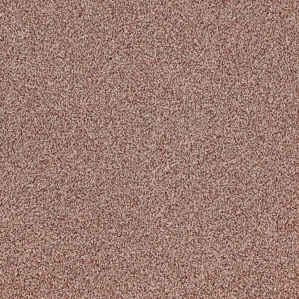 bricoflor20260613061157235544
