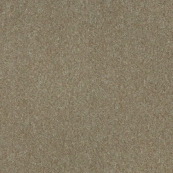 bricoflor20260613061950236373