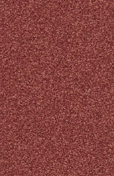 bricoflor20260613062313236719