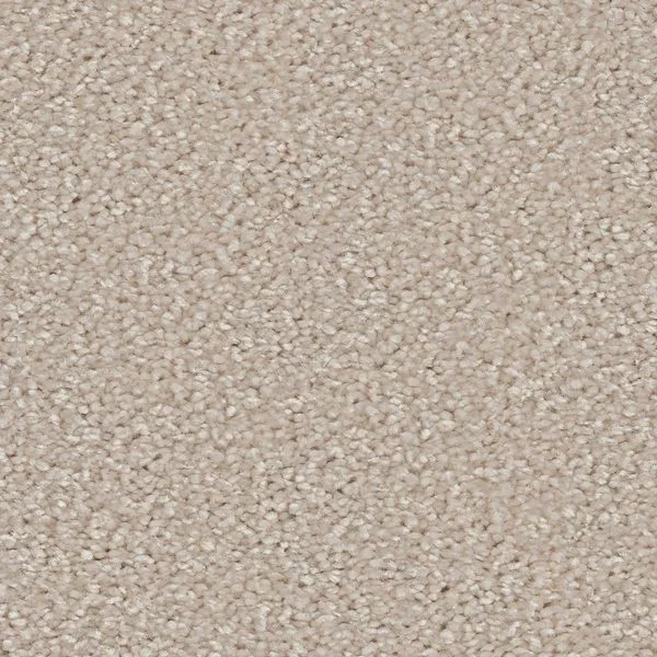 bricoflor20260613062319236728