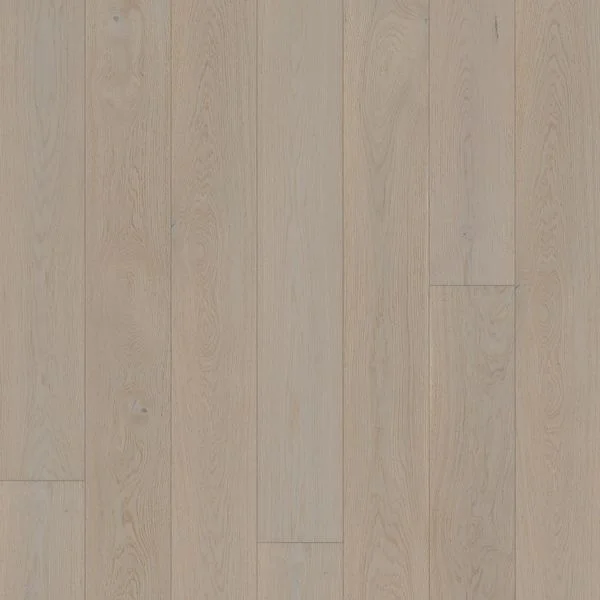 bricoflor20260613062557237046