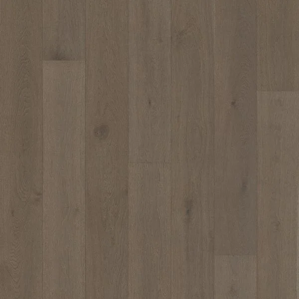 bricoflor20260613062559237050